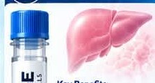 Liver illustration and product vial