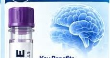 Brain illustration and product vial