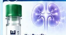 Kidney illustration and product vial